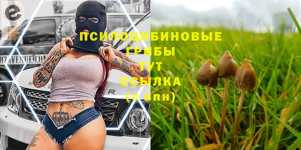 ALPHA PVP Сатка